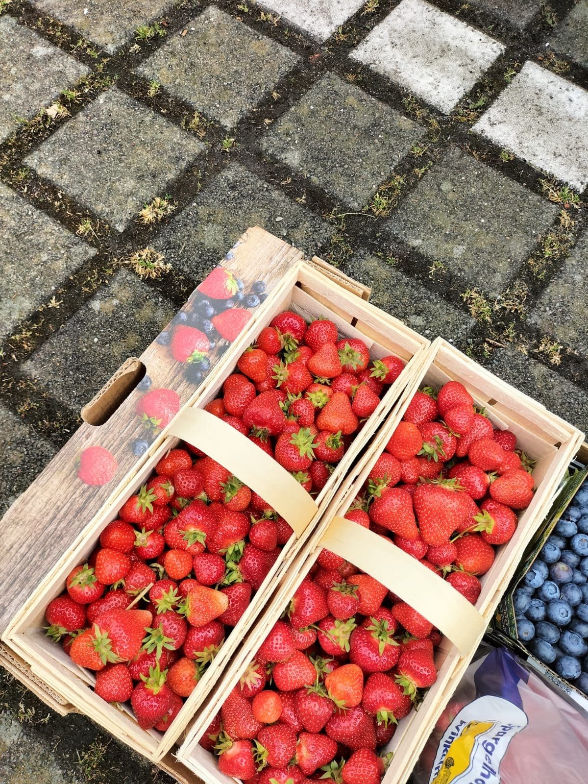 Frisch geerntete Erdbeeren in Holzsteigen