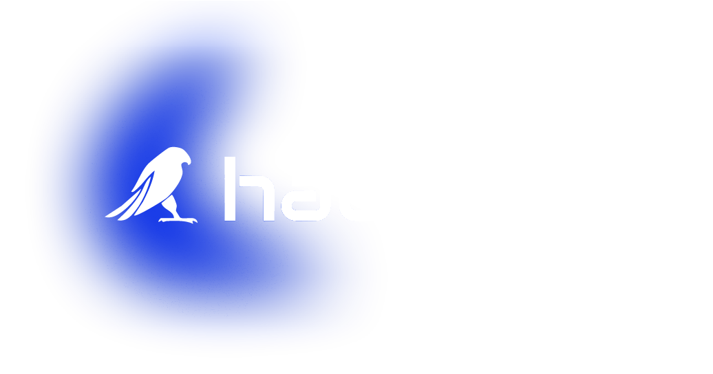 Habicht IT